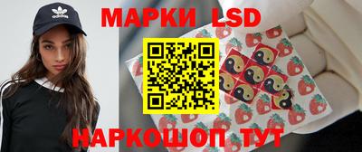 Альфа ПВП Гатчина