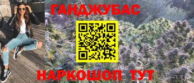 Альфа ПВП Гатчина