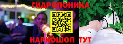 Альфа ПВП Гатчина