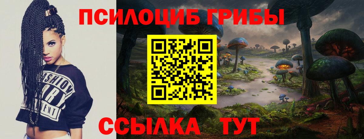 Электрогорск  Псилоцибиновые грибы Magic Shrooms  Вход с VPN 